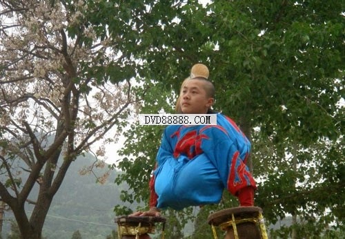 http://www.omega3-ala.com/pics/default/download/85ff88f2d6105a634cb4bb6dd329dad4.jpg