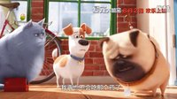 “短粗胖”患松鼠妄想癥《愛寵大機(jī)密》“呆萌大毛”特輯