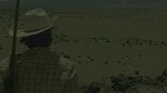 預告片2