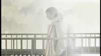 國產連續劇 【向左走向右走】第20集.mkv