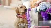 ?2分鐘短片，火爆了整個朋友圈！！_0
