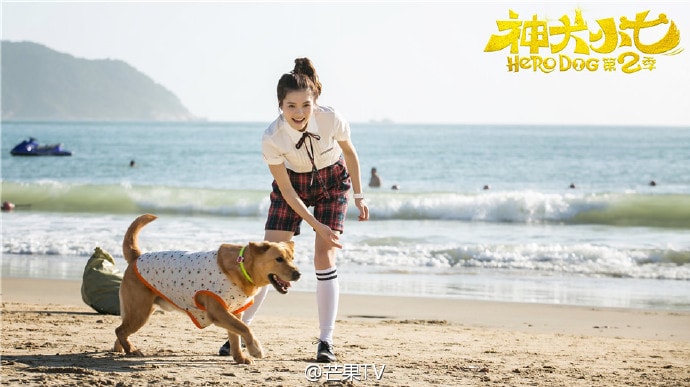 http://www.omega3-ala.com/pics/default/download/871a510a568bf3486464562ac615752c.jpg
