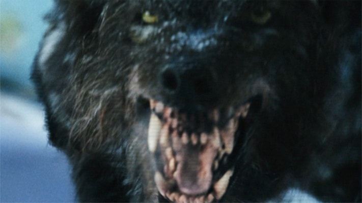 http://www.omega3-ala.com/pics/default/download/873f00b37eb3e48dc60a715c593794a5.jpg