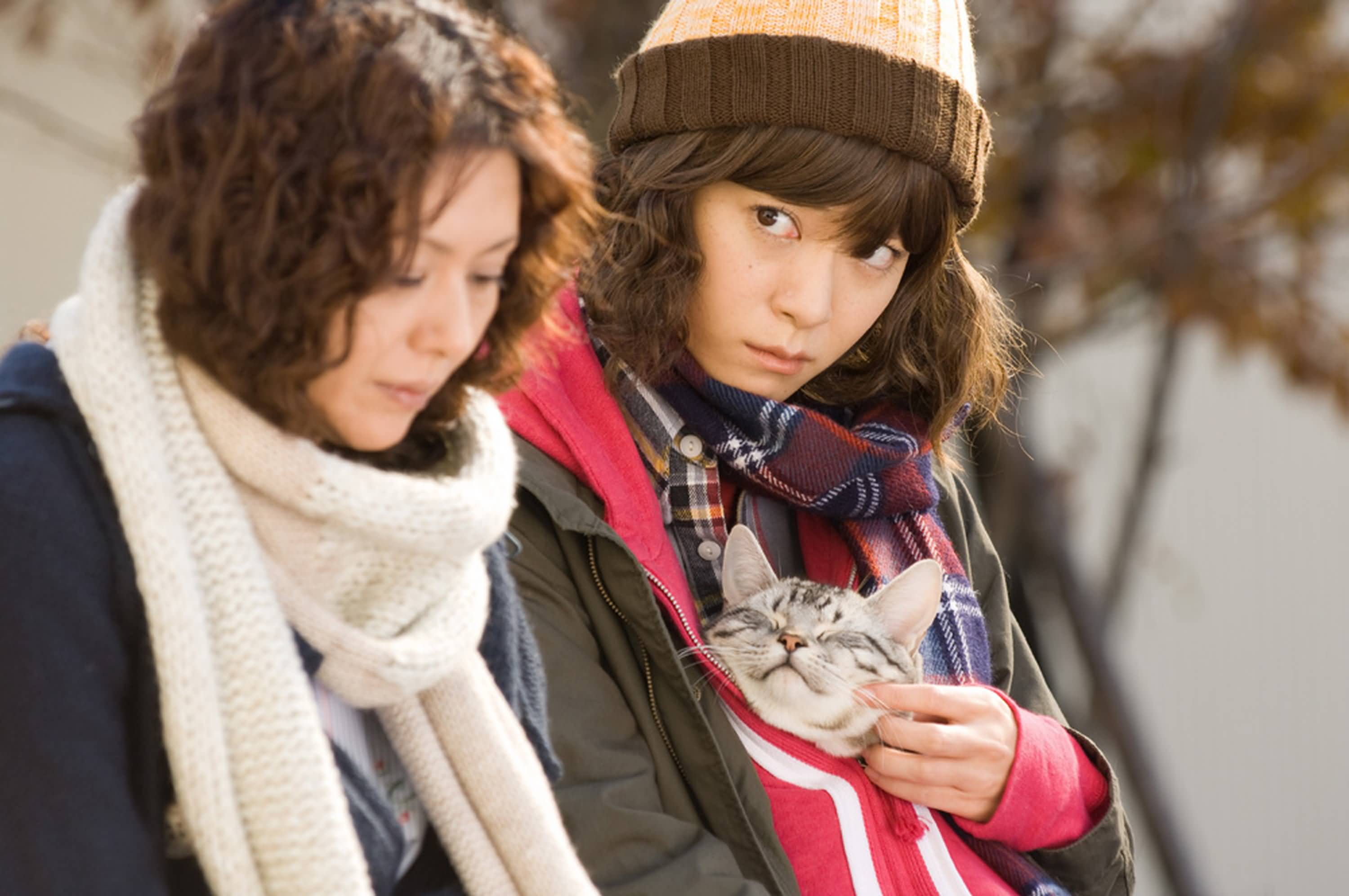 http://www.omega3-ala.com/pics/default/download/8744df4f2d6915a4f0641bf46fb94dd7.jpg