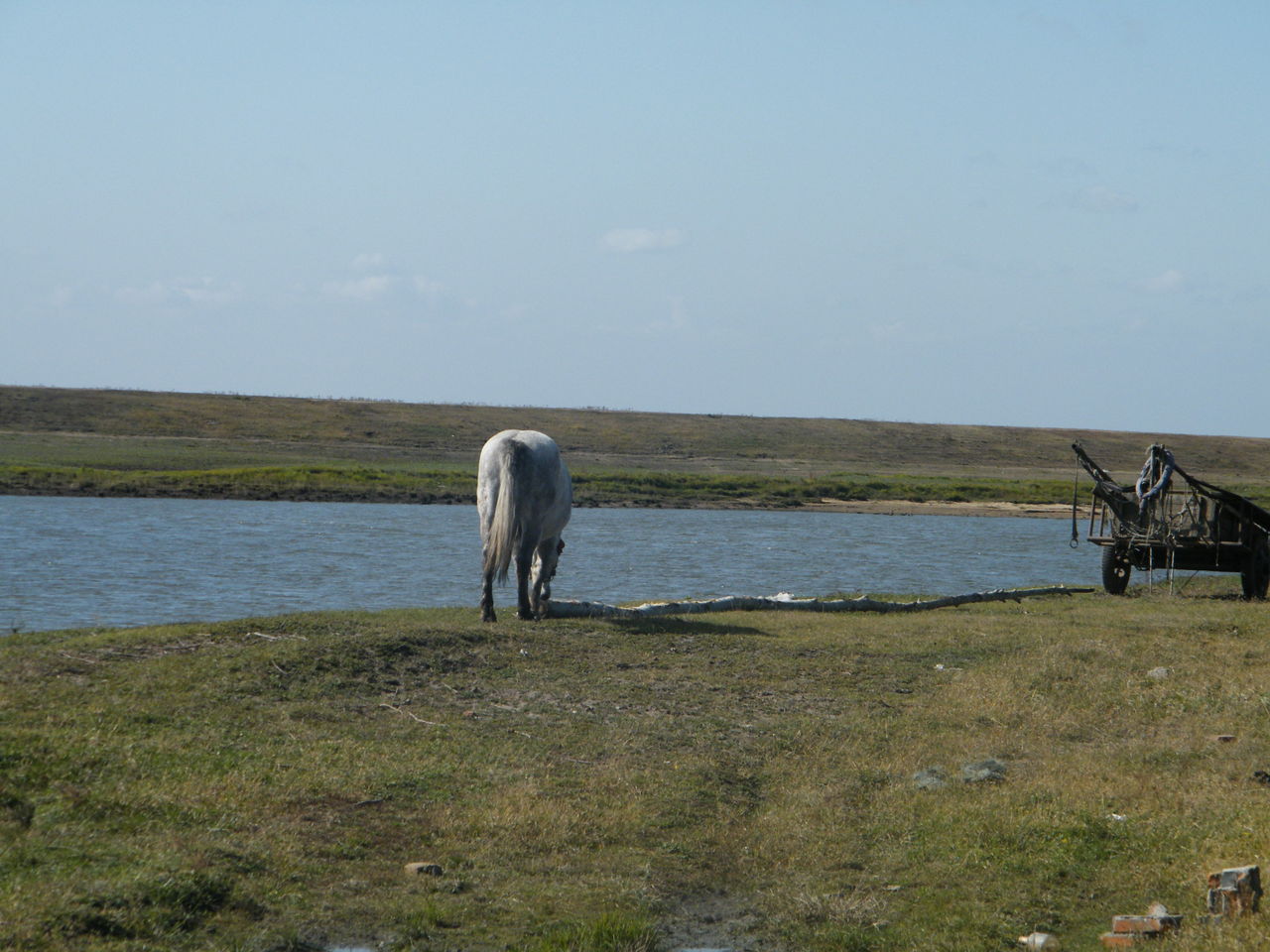 http://www.omega3-ala.com/pics/default/download/874ec7b979ef8bb1f5c76b30b0b5d39c.jpg