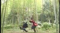 包青天之孿生劫 展昭剪輯——對決