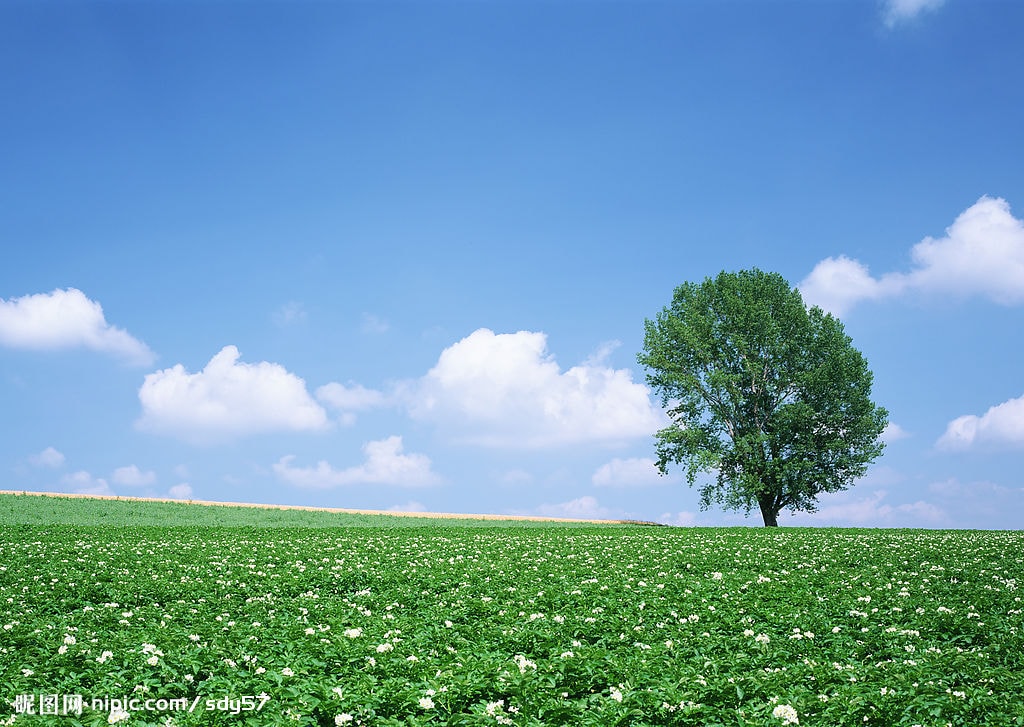 http://www.omega3-ala.com/pics/default/download/87a1e2c758c3befef7e60cf25ca52aa1.jpg