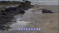 咱爸咱媽（海濱日出風光）（原畫）