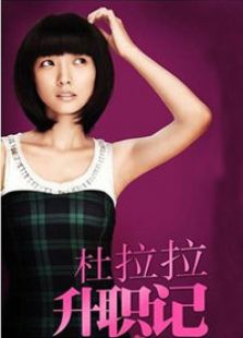 杜拉拉升職記