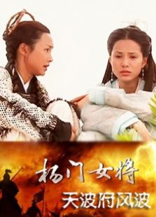 楊門女將天波府風波