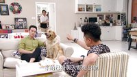 《新婚公寓》雞湯版預告片