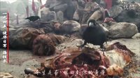魔力誓言 抗日中國 經(jīng)典視頻教材