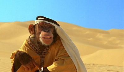http://www.omega3-ala.com/pics/default/download/8a1c5528b2c2ce3ac0c5d1026164e08b.jpg