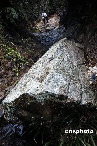 http://www.omega3-ala.com/pics/default/download/8a48e63755a2f31d278aac2b3b8ee160.jpg
