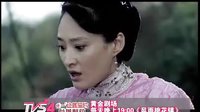 TVS4《風(fēng)雨桃花鎮(zhèn)》熱播版