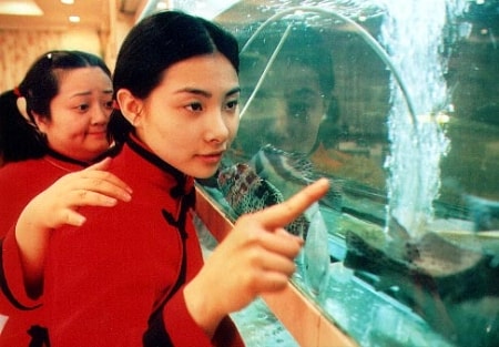 http://www.omega3-ala.com/pics/default/download/8aa71eb47c76b3d513af43b3bdcfe45c.jpg