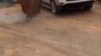 專治各種違章停車