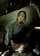 奚美娟