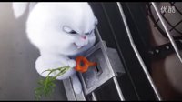 反派萌兔“十八般武藝”《愛(ài)寵大機(jī)密》“大反派”雪球角色預(yù)告