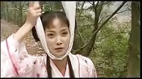 《誰主中原25》之長平公主