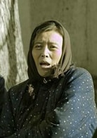 丁嘉麗