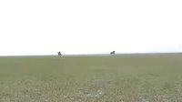 孝莊秘史之多爾袞之死