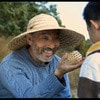 http://www.omega3-ala.com/pics/default/download/8dfb5794f1f09a2fde3962e740530713.jpg