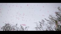《深宮遺夢》預告片-虐愛版