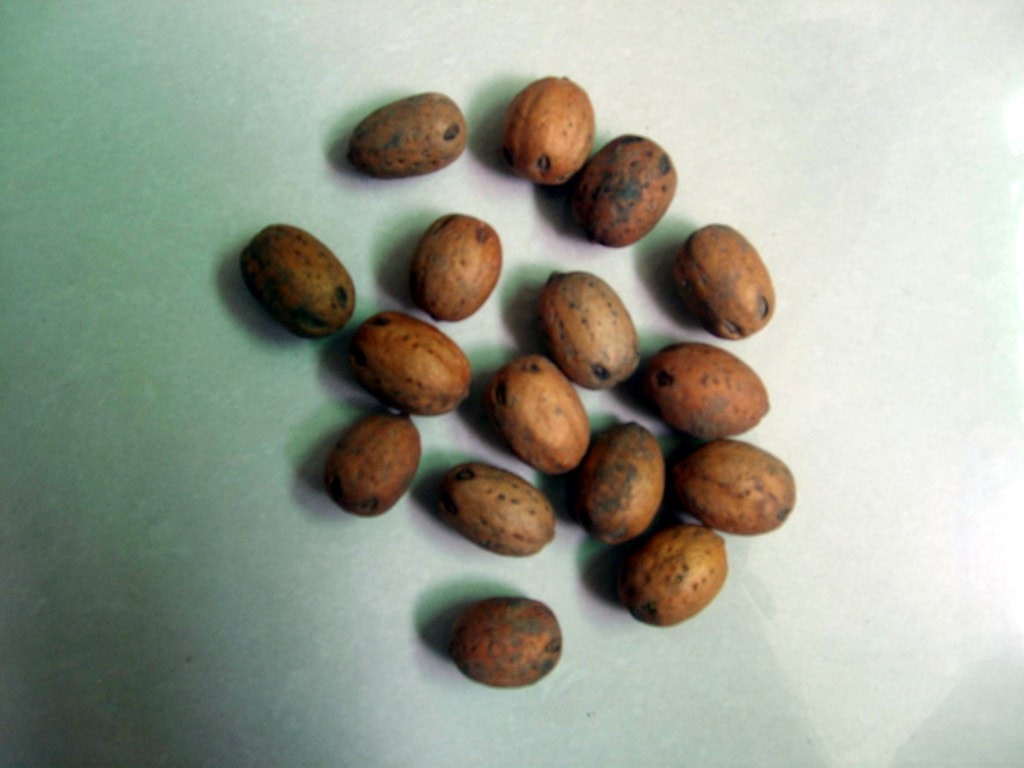 http://www.omega3-ala.com/pics/default/download/8e5ef0cdbeff8683bd68abe400aa8a99.jpg
