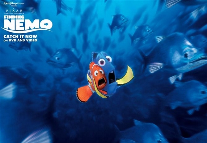 http://www.omega3-ala.com/pics/default/download/8e729d8e695986533de493479ea6da7e.jpg
