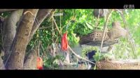 許霖-誠信是福
