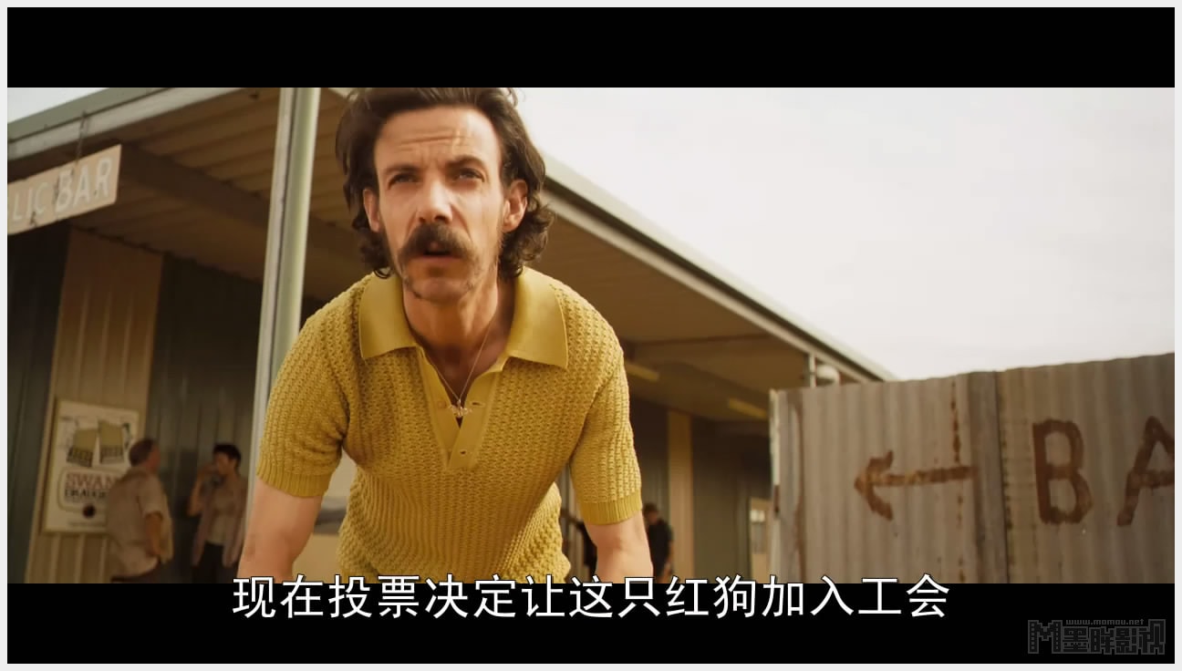 http://www.omega3-ala.com/pics/default/download/8e9a12854e3f1b03894c392646972a94.jpg