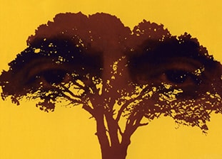 http://www.omega3-ala.com/pics/default/download/8f1e73a9a668b5113c3cf6800e33a16d.jpg
