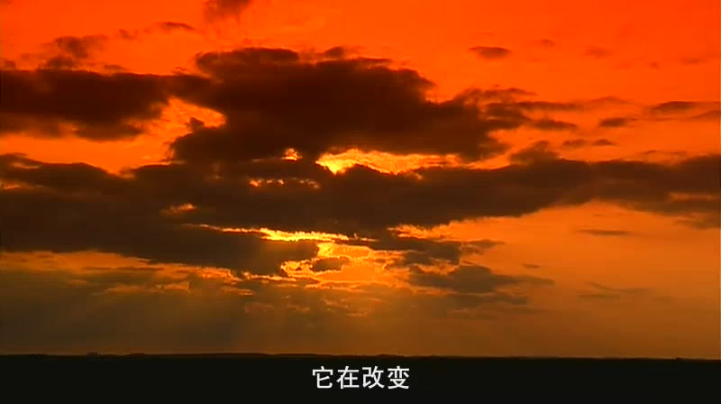 http://www.omega3-ala.com/pics/default/download/902b10cd5559fa2d78f70baa3be0009b.jpg