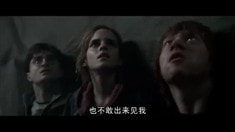 中文版預(yù)告片2