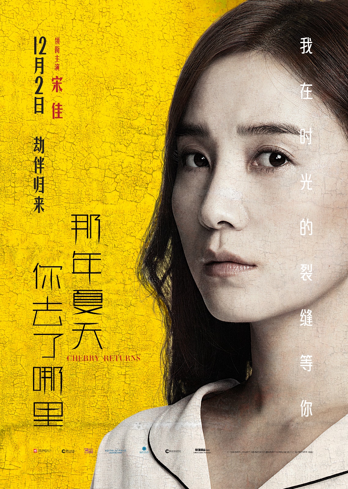 那年夏天你去了哪里 高清海報