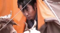 《馬向陽下鄉(xiāng)》  首款片花  國民大叔 吳秀波 鄉(xiāng)村奇遇記