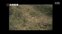《熊貓歷險(xiǎn)記》片段中傳教育文圖廣