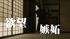 電視宣傳片3