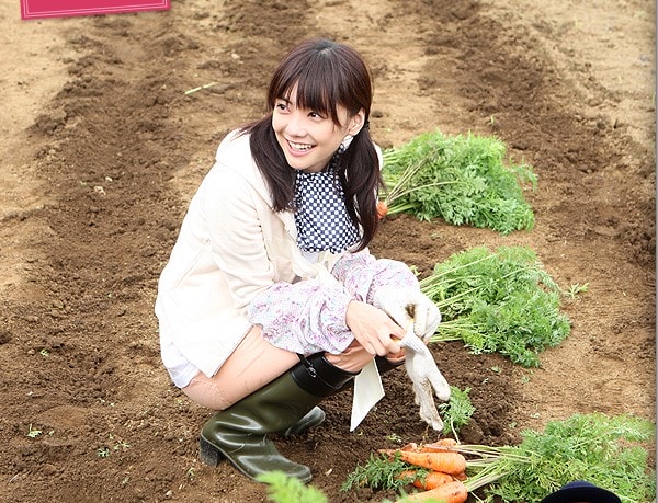 http://www.omega3-ala.com/pics/default/download/93463be19ce31e80cc13c5a23bae4e68.jpg
