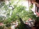 「好大一個家」. .﹎電視劇《咱家那些事》片頭曲
