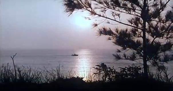 http://www.omega3-ala.com/pics/default/download/93f78d8c88d75c9e20e0a1c1d385752c.jpg