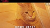 《一路驚喜》男寵團特輯 金依萌炮制鮮肉大餐