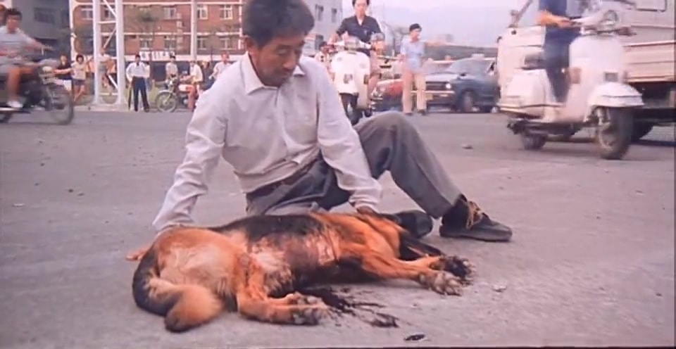 《搭錯(cuò)車》視頻截圖