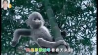 新歌首推《我只想飛》演唱：東方傳奇   視頻制作：老玩童崔