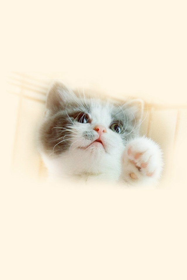 http://www.omega3-ala.com/pics/default/download/95ea0b9744951805b9a52c198e47134d.jpg