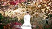 蘭陵王妃 片花 螢火 截取版