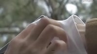 我的抗戰(zhàn)(電視劇)
