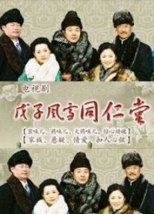 戊子風雪同仁堂