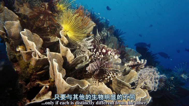 http://www.omega3-ala.com/pics/default/download/992b0373551d3691d583e4fe0482bdde.jpg